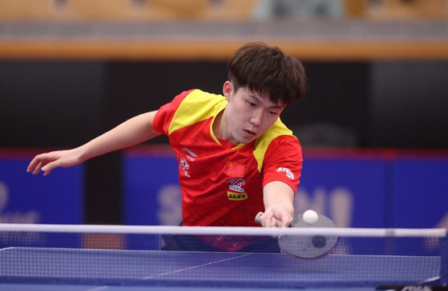 当什琴斯尼 当什琴斯尼