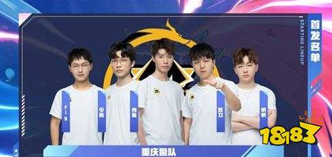您可以查看